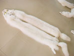 Fur Shawls