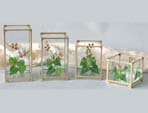 Candle Holders