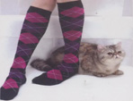 Knee Socks