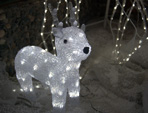Kid's Christmas