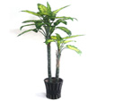 Artificial Evergreen Trees